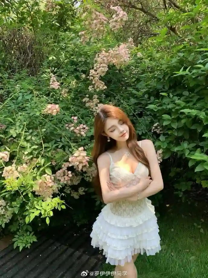 火星文演化历程